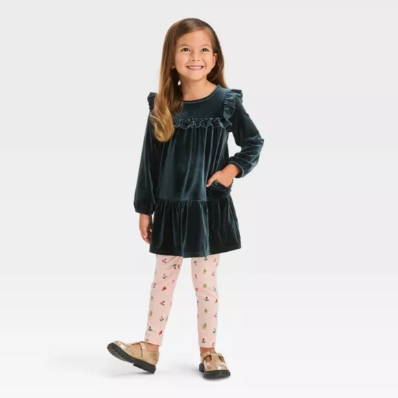 New 4T Toddler Girls A Line Velour Long Sleeve Mini Dress Cat & Jack Ruffled Hem - Picture 3 of 5